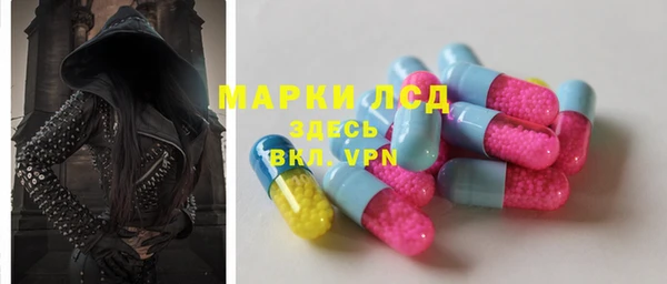 гидра Арсеньев