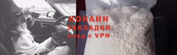 твердый Аркадак